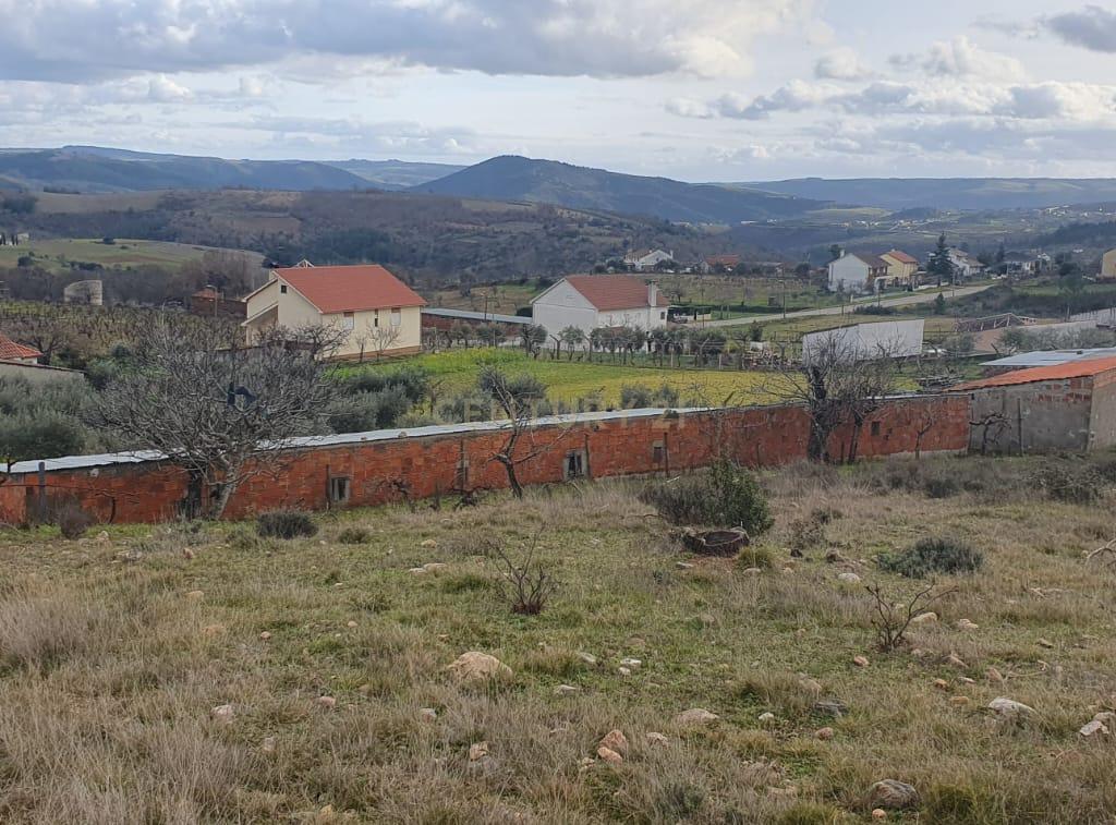 Terreno Rústico de 11.692 m²  – Oportunidade para Jovens Agricultores em Bassal, Bragança - Image 1