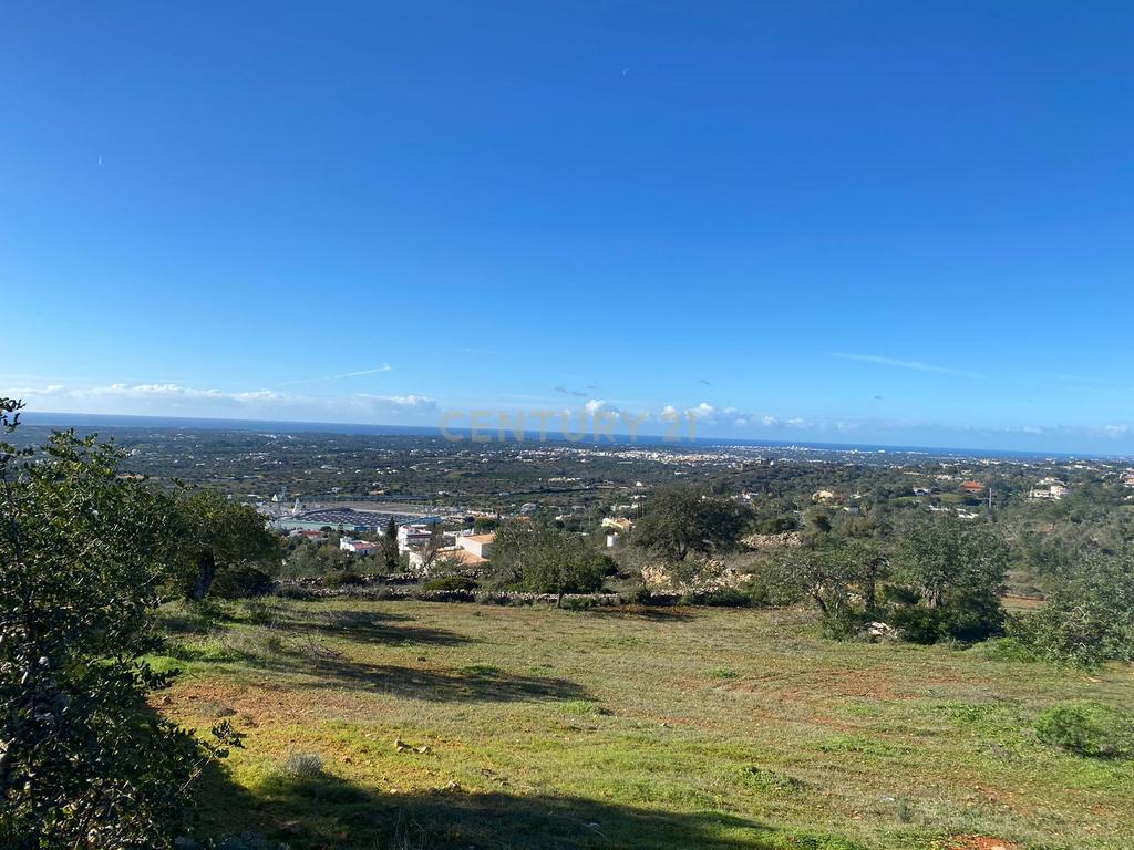 Excelente oportunidade de terreno rústico localizado nos Valados, em Santa Bárbara de Nexe, concelho de Faro. - Image 9