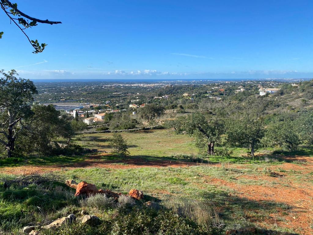 Excelente oportunidade de terreno rústico localizado nos Valados, em Santa Bárbara de Nexe, concelho de Faro. - Image 8