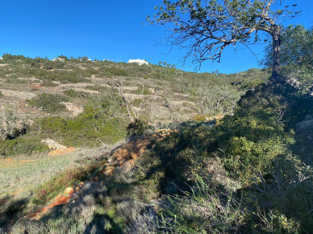 Excelente oportunidade de terreno rústico localizado nos Valados, em Santa Bárbara de Nexe, concelho de Faro. - Image 14