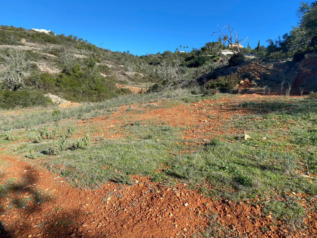 Excelente oportunidade de terreno rústico localizado nos Valados, em Santa Bárbara de Nexe, concelho de Faro. - Image 16