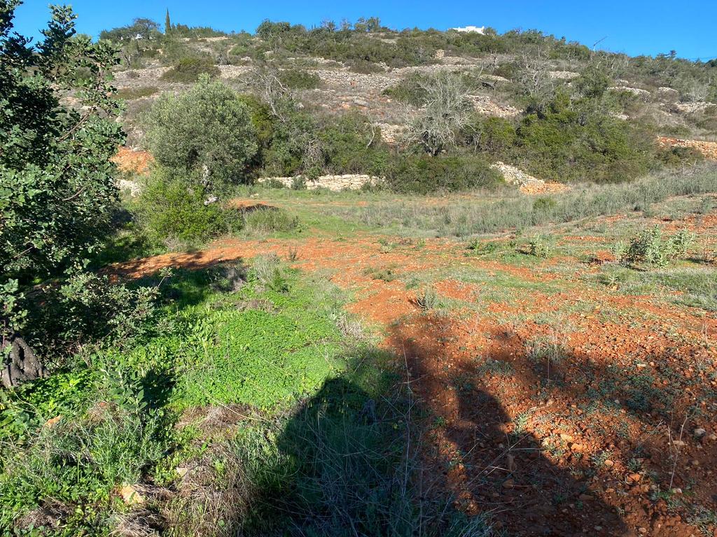 Excelente oportunidade de terreno rústico localizado nos Valados, em Santa Bárbara de Nexe, concelho de Faro. - Image 15