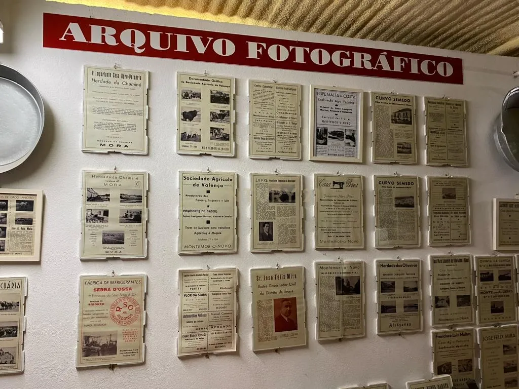 Pequena Quinta, com a área de 1,9304ha, situada na EN4, á entrada de Montemor-o-Novo. - Image 10