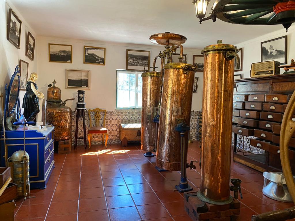 Pequena Quinta, com a área de 1,9304ha, situada na EN4, á entrada de Montemor-o-Novo. - Image 32