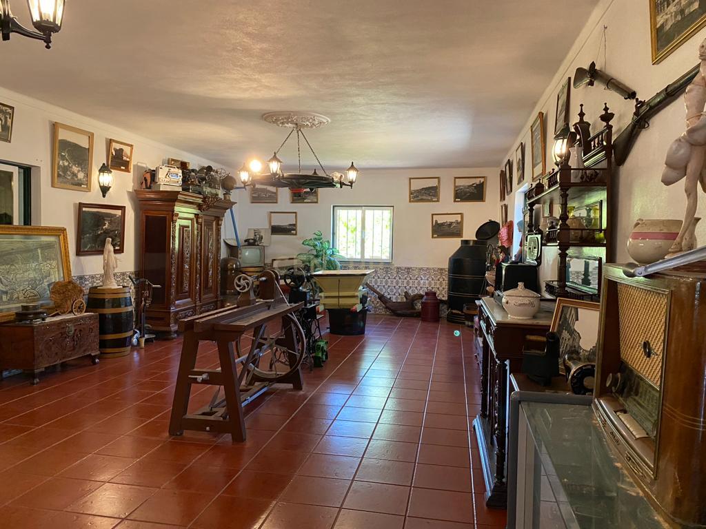 Pequena Quinta, com a área de 1,9304ha, situada na EN4, á entrada de Montemor-o-Novo. - Image 26