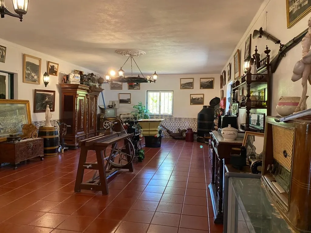 Pequena Quinta, com a área de 1,9304ha, situada na EN4, á entrada de Montemor-o-Novo. - Image 26