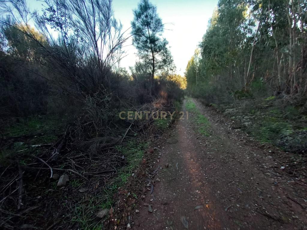Terreno Rustico em Aranhas - Image 16