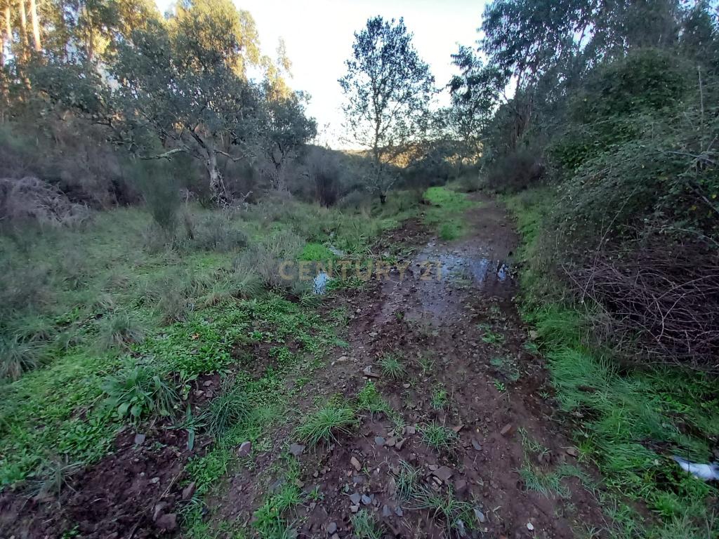 Terreno Rustico em Aranhas - Image 11
