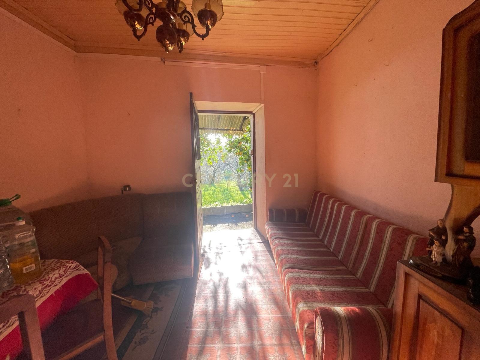 Quintinha com casa em pedra, Fragosela de Cima - Viseu - Image 7