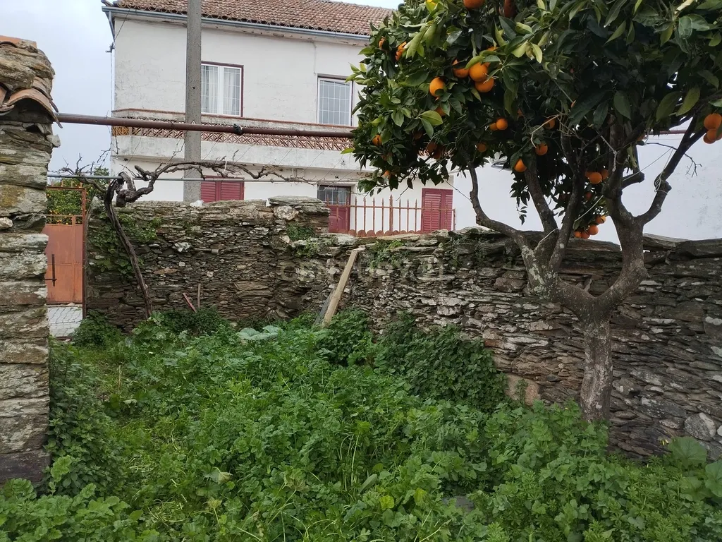 Refúgio nos Amarelos, Sarnadas de Ródão - Image 11