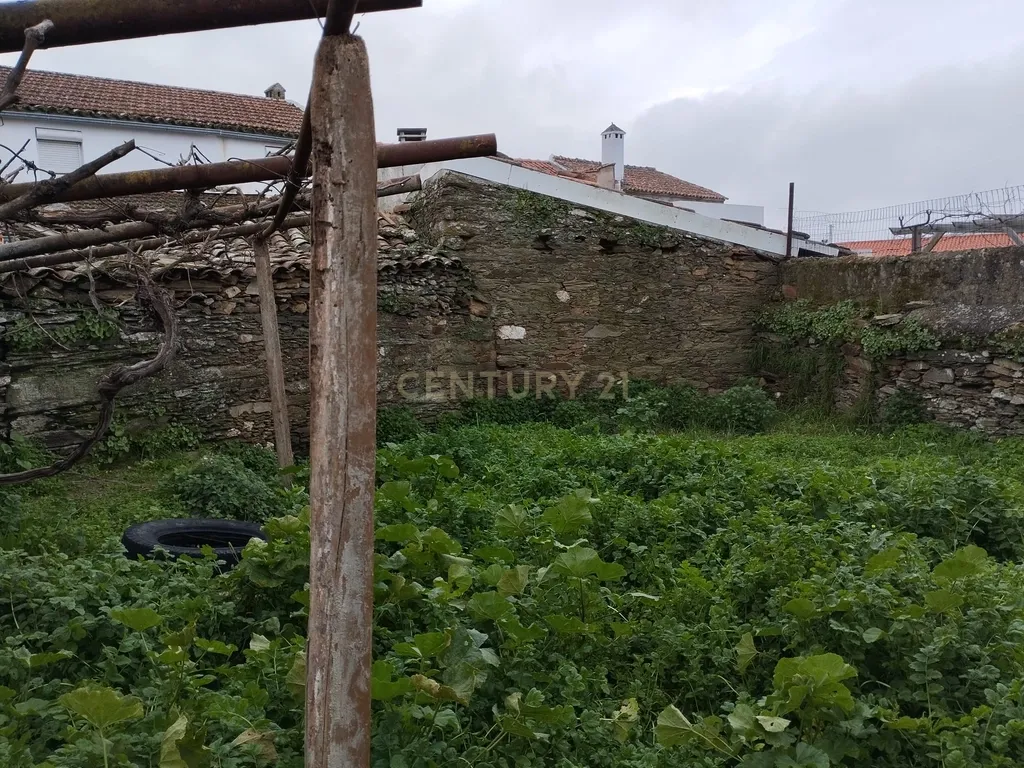 Refúgio nos Amarelos, Sarnadas de Ródão - Image 15