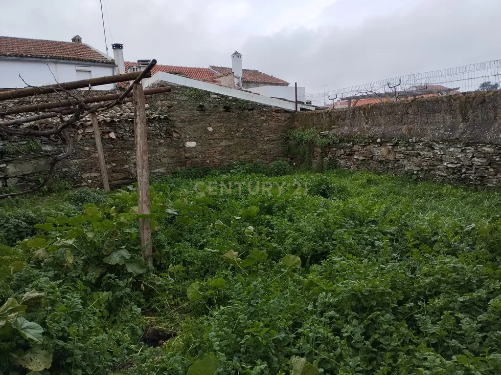 Refúgio nos Amarelos, Sarnadas de Ródão - Image 5