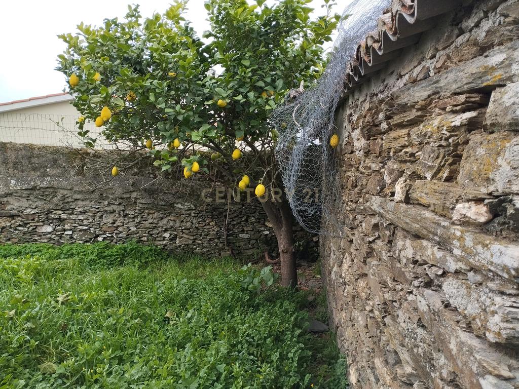 Refúgio nos Amarelos, Sarnadas de Ródão - Image 12
