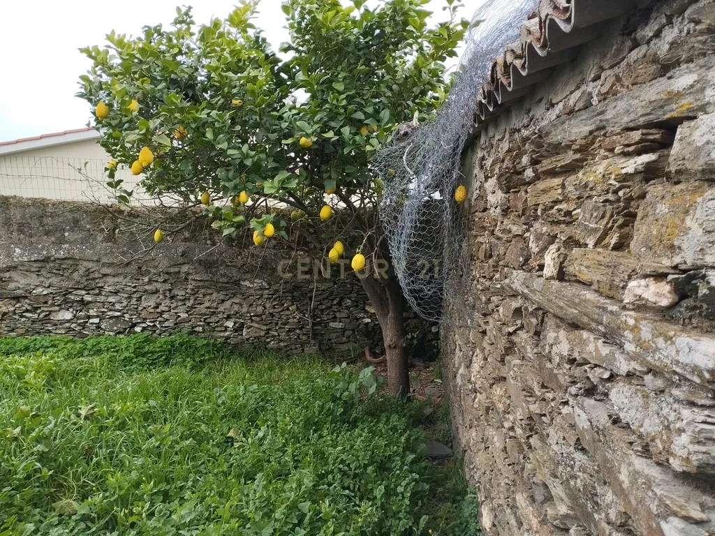 Refúgio nos Amarelos, Sarnadas de Ródão - Image 12