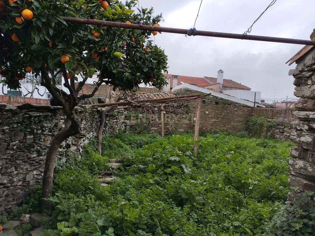 Refúgio nos Amarelos, Sarnadas de Ródão - Image 10