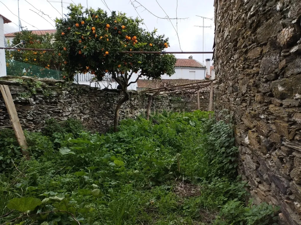 Refúgio nos Amarelos, Sarnadas de Ródão - Image 13