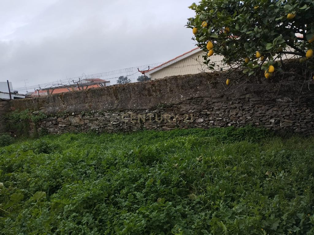 Refúgio nos Amarelos, Sarnadas de Ródão - Image 14
