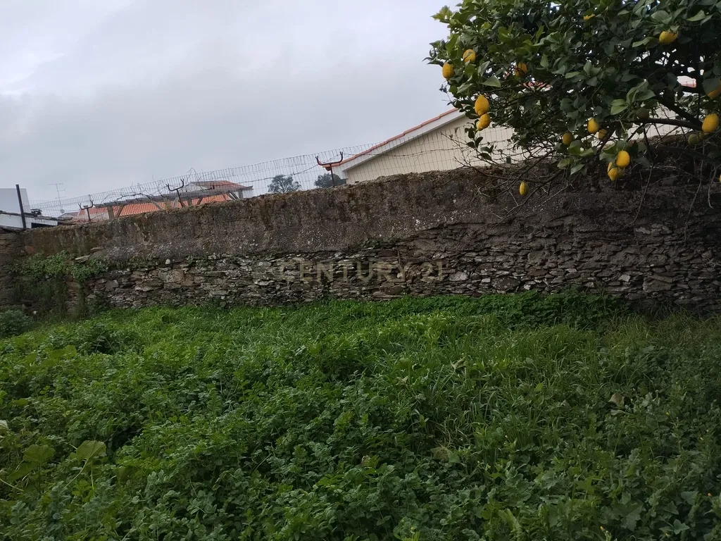Refúgio nos Amarelos, Sarnadas de Ródão - Image 14