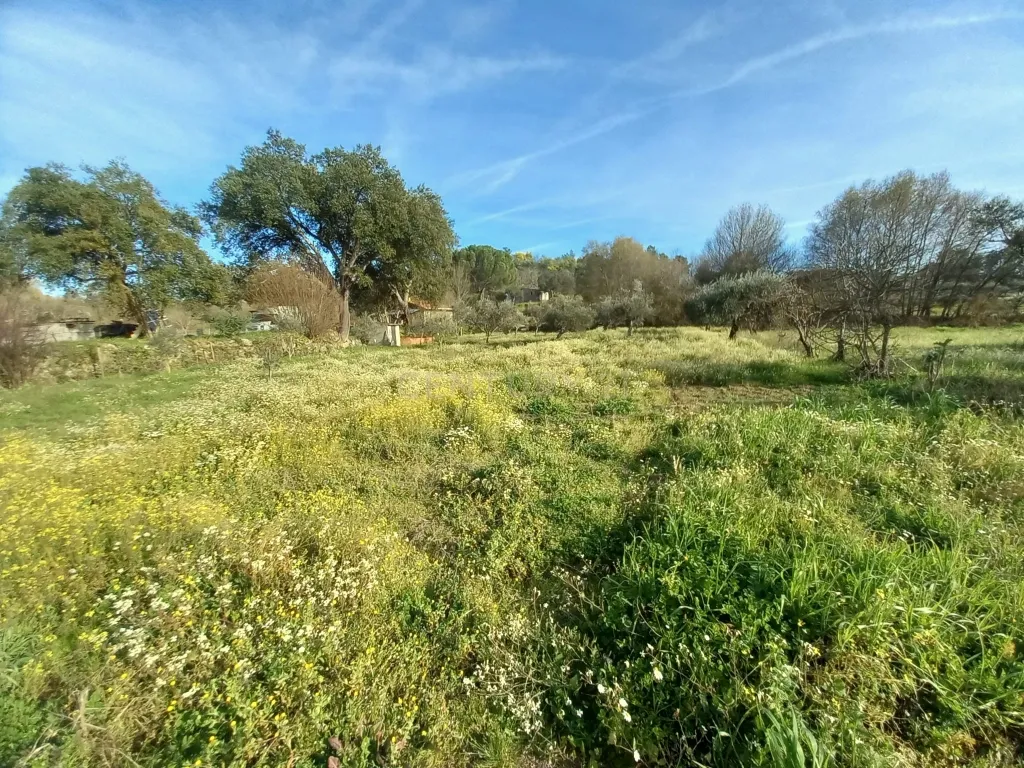 Terreno Rústico Póvoa de Rio de Moinhos, Castelo Branco - Image 7