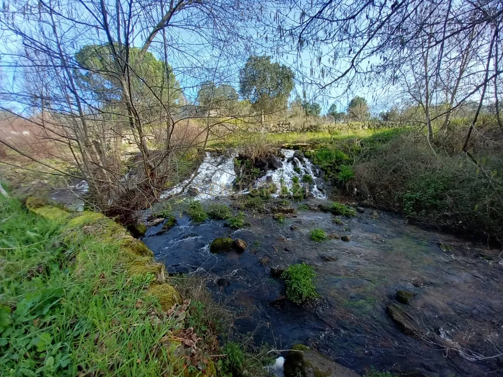 Terreno Rústico Póvoa de Rio de Moinhos, Castelo Branco - Image 11