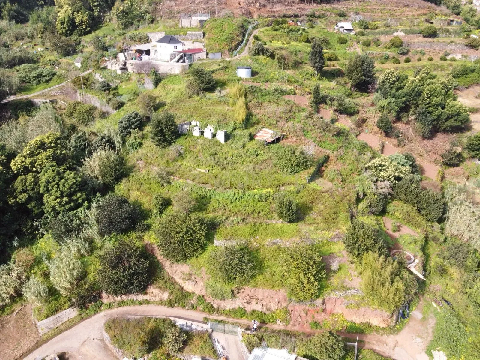 Terreno 2901 m2 - Santa Cruz (Vista Mar) - Image 6