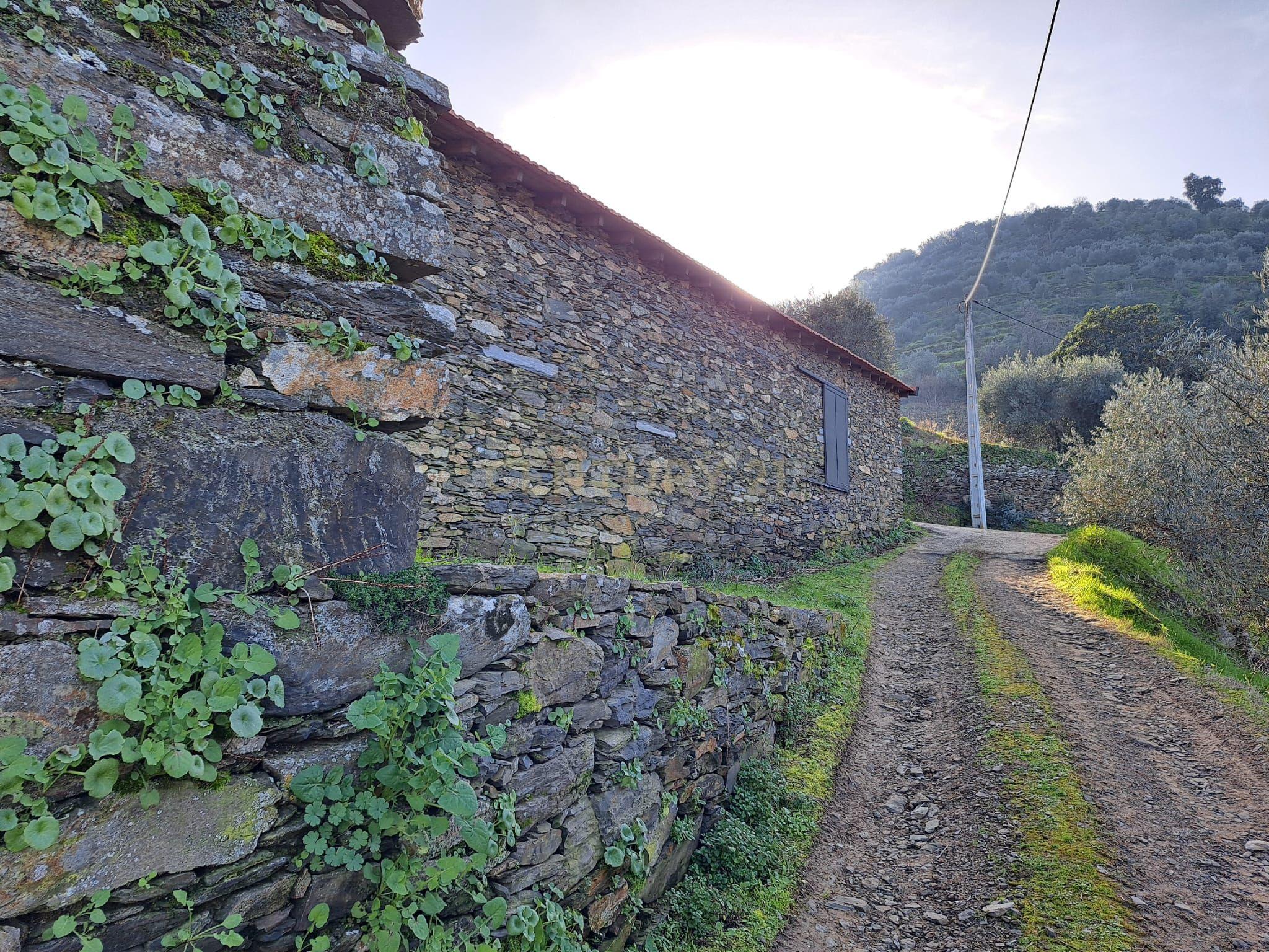 Quinta Fraga do Gato no Alto Douro Vinhateiro com cerca de 6000 m2 - Image 18