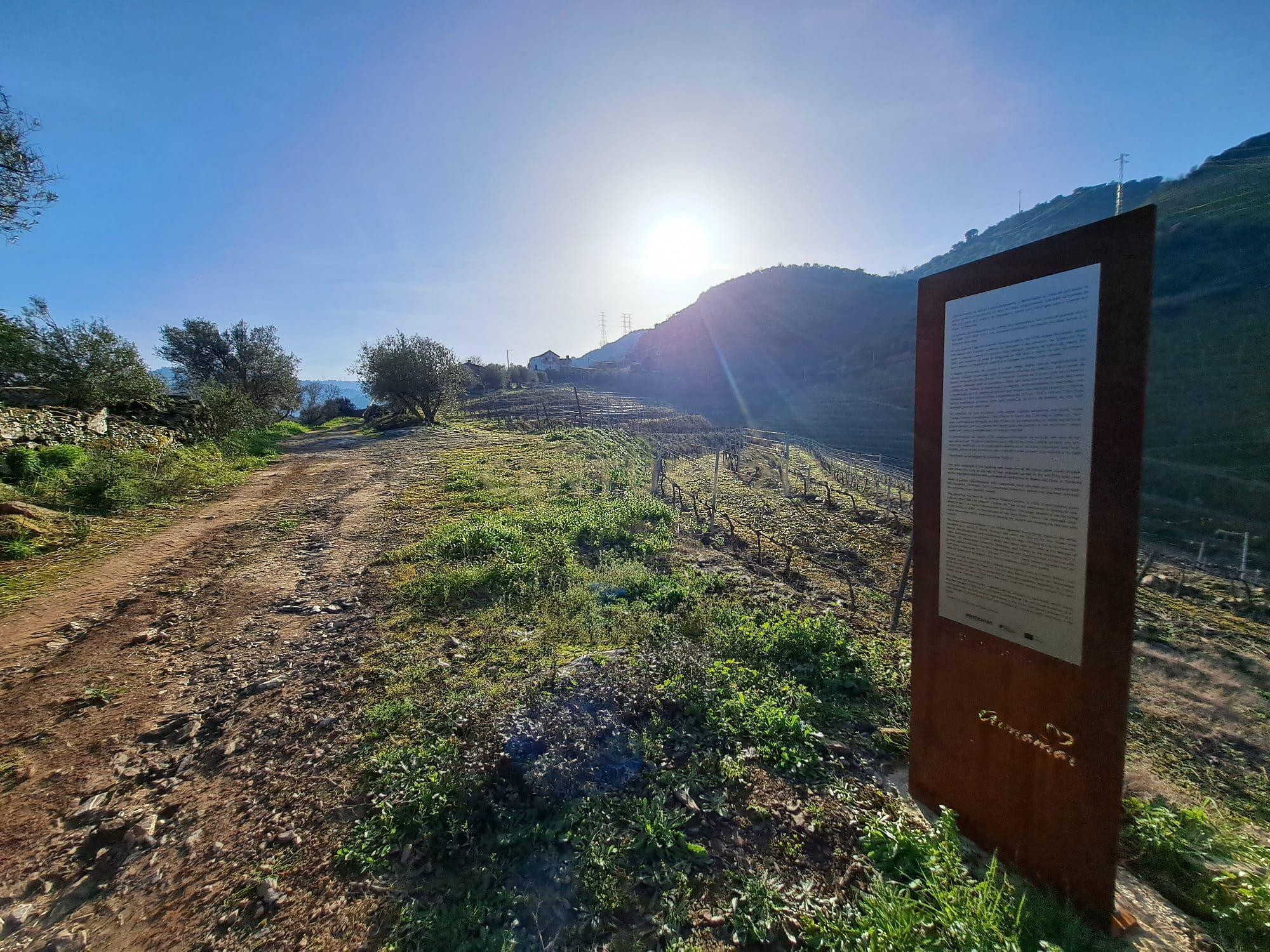 Quinta Fraga do Gato no Alto Douro Vinhateiro com cerca de 6000 m2 - Image 19