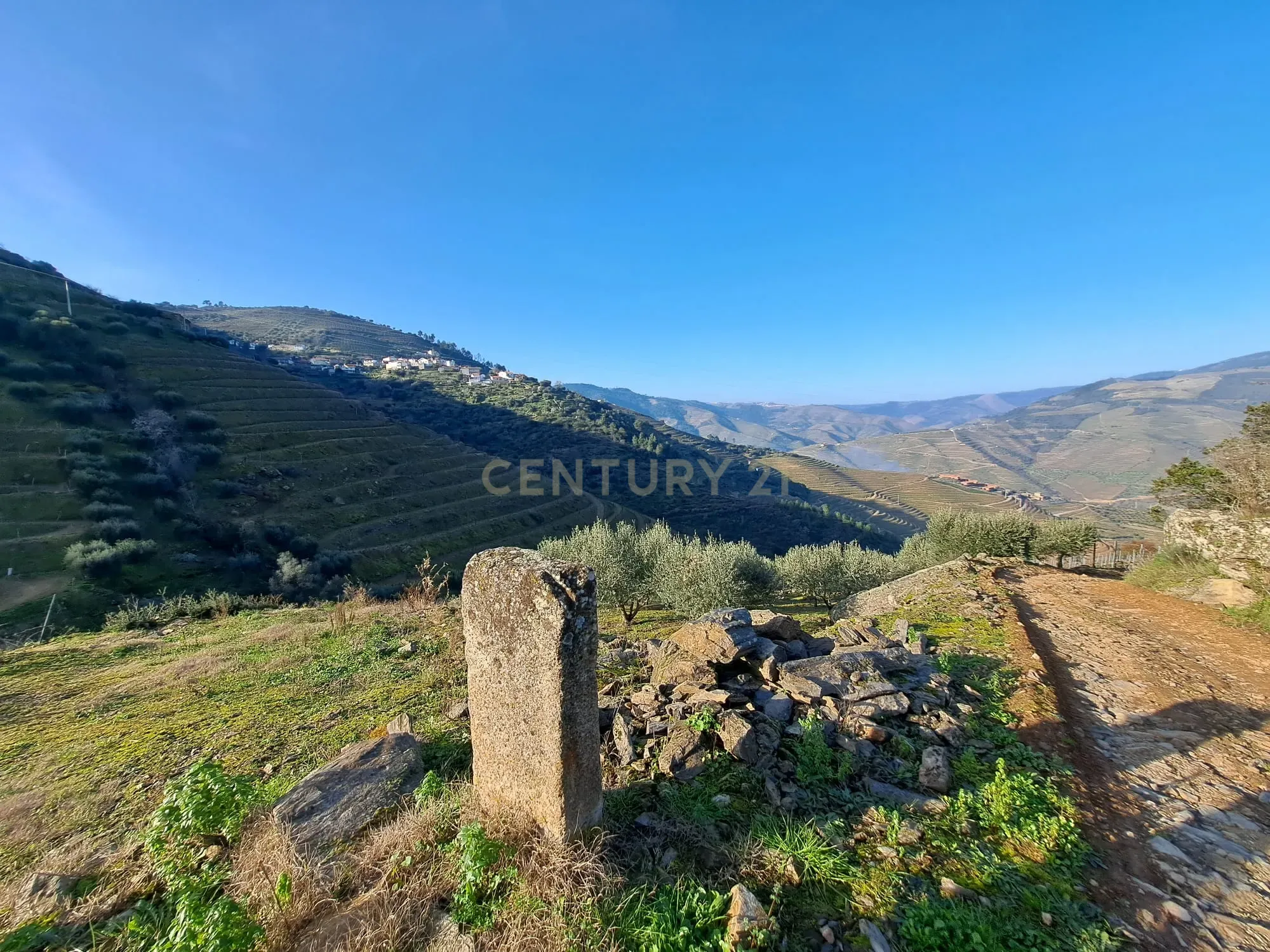 Quinta Fraga do Gato no Alto Douro Vinhateiro com cerca de 6000 m2 - Image 20