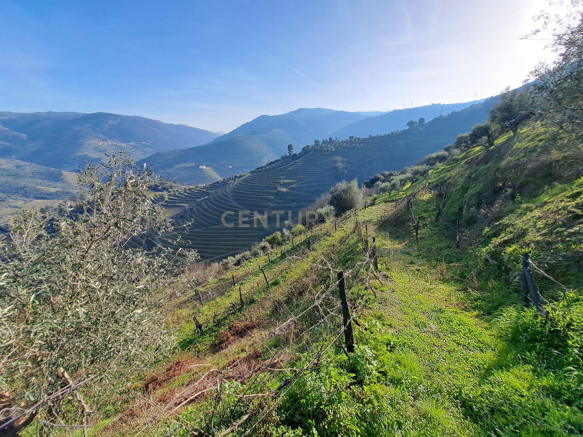 Quinta Fraga do Gato no Alto Douro Vinhateiro com cerca de 6000 m2 - Image 24