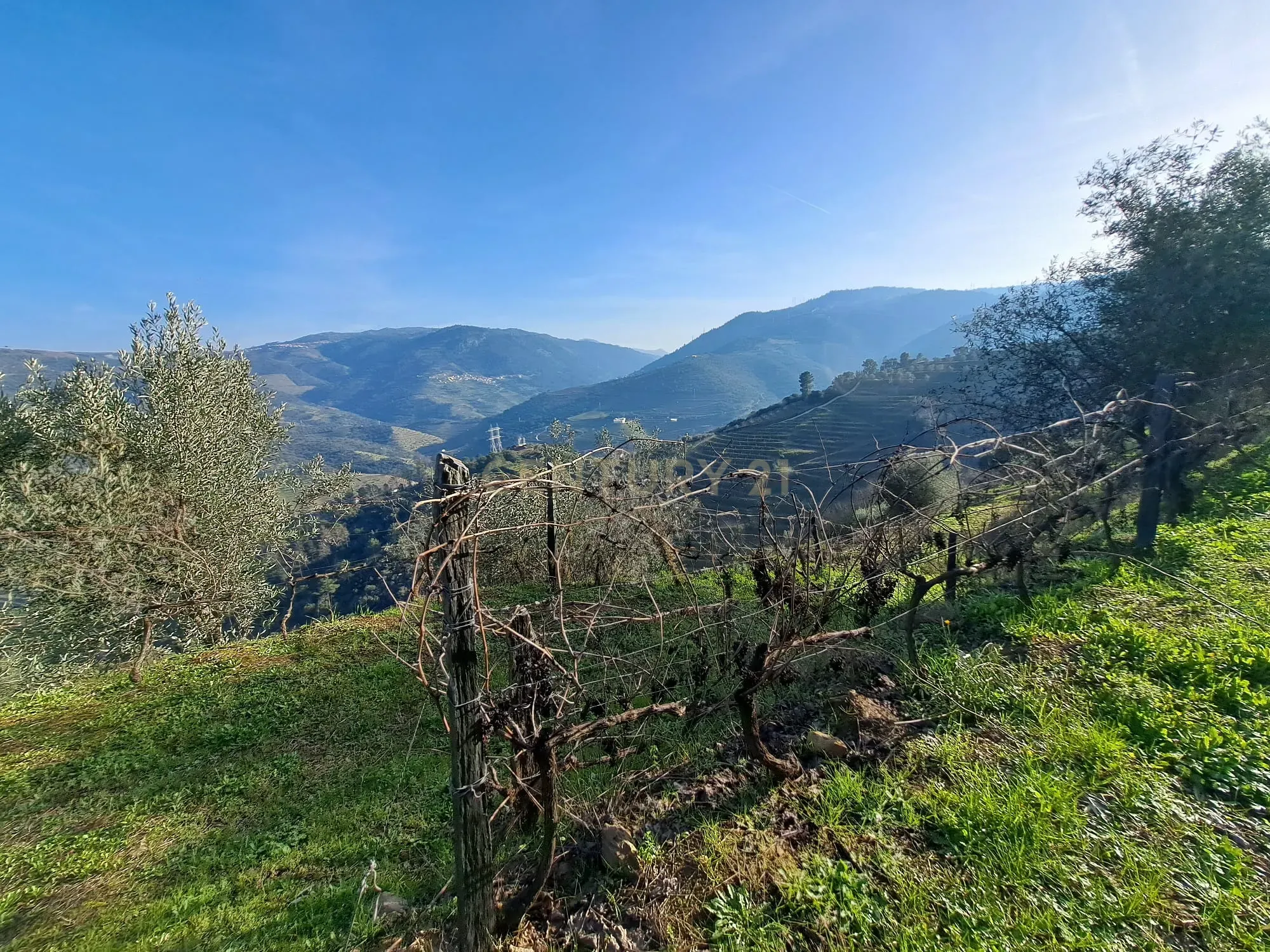 Quinta Fraga do Gato no Alto Douro Vinhateiro com cerca de 6000 m2 - Image 21