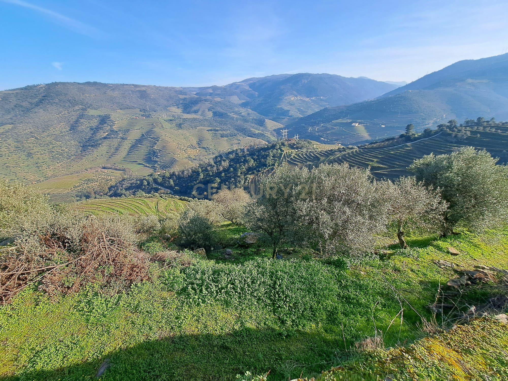 Quinta Fraga do Gato no Alto Douro Vinhateiro com cerca de 6000 m2 - Image 26