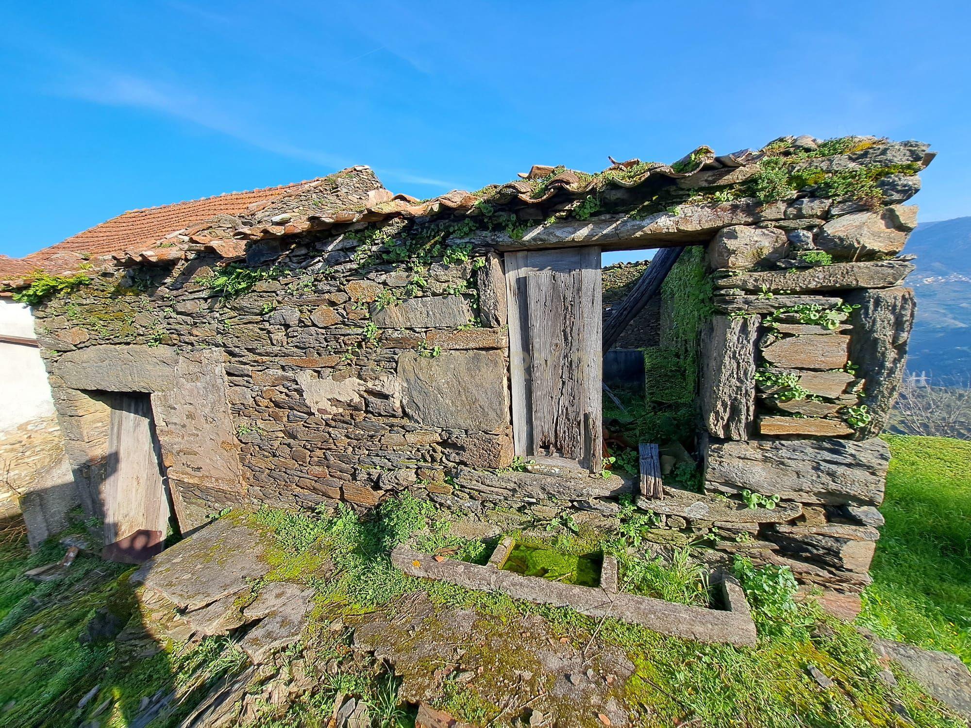 Quinta Fraga do Gato no Alto Douro Vinhateiro com cerca de 6000 m2 - Image 9