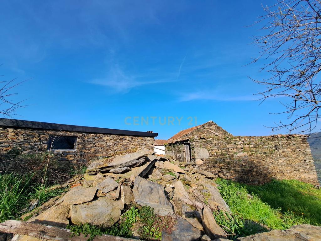 Quinta Fraga do Gato no Alto Douro Vinhateiro com cerca de 6000 m2 - Image 14