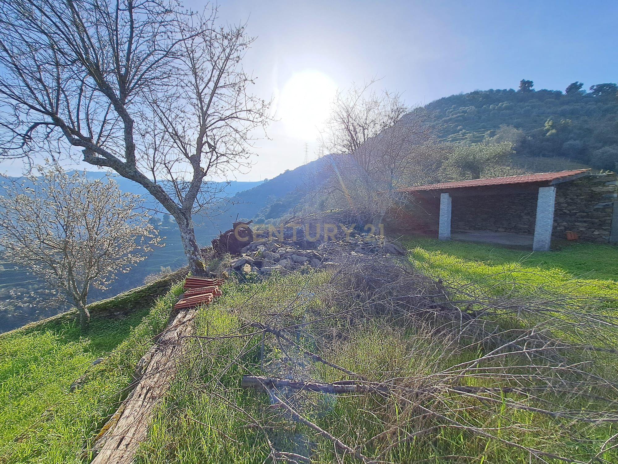 Quinta Fraga do Gato no Alto Douro Vinhateiro com cerca de 6000 m2 - Image 15