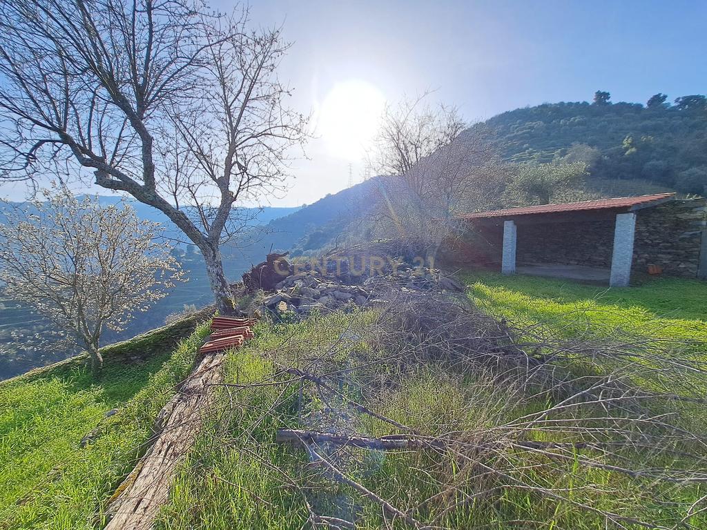 Quinta Fraga do Gato no Alto Douro Vinhateiro com cerca de 6000 m2 - Image 15
