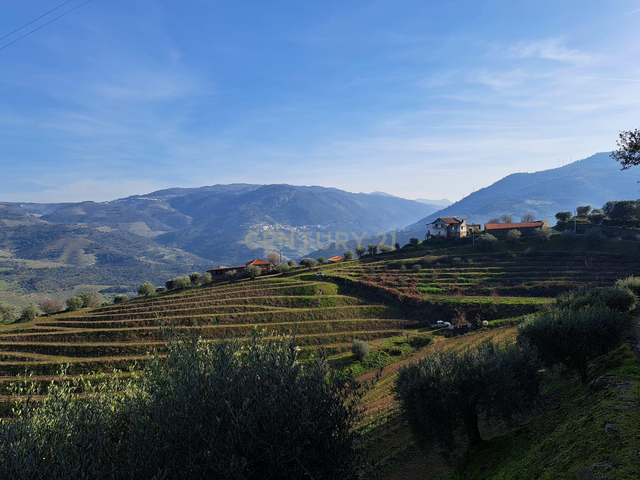 Quinta Fraga do Gato no Alto Douro Vinhateiro com cerca de 6000 m2 - Image 28