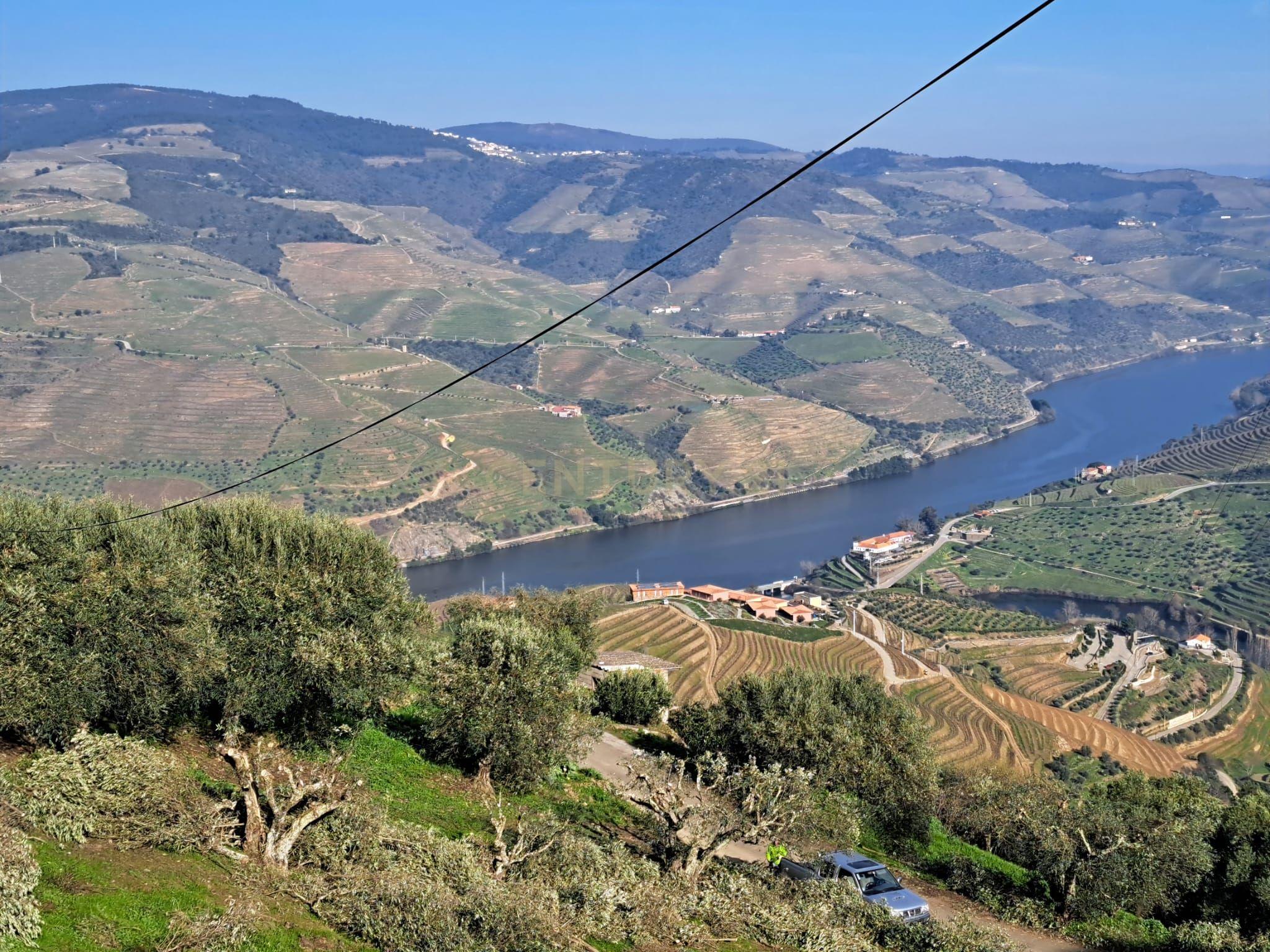 Quinta Fraga do Gato no Alto Douro Vinhateiro com cerca de 6000 m2 - Image 27