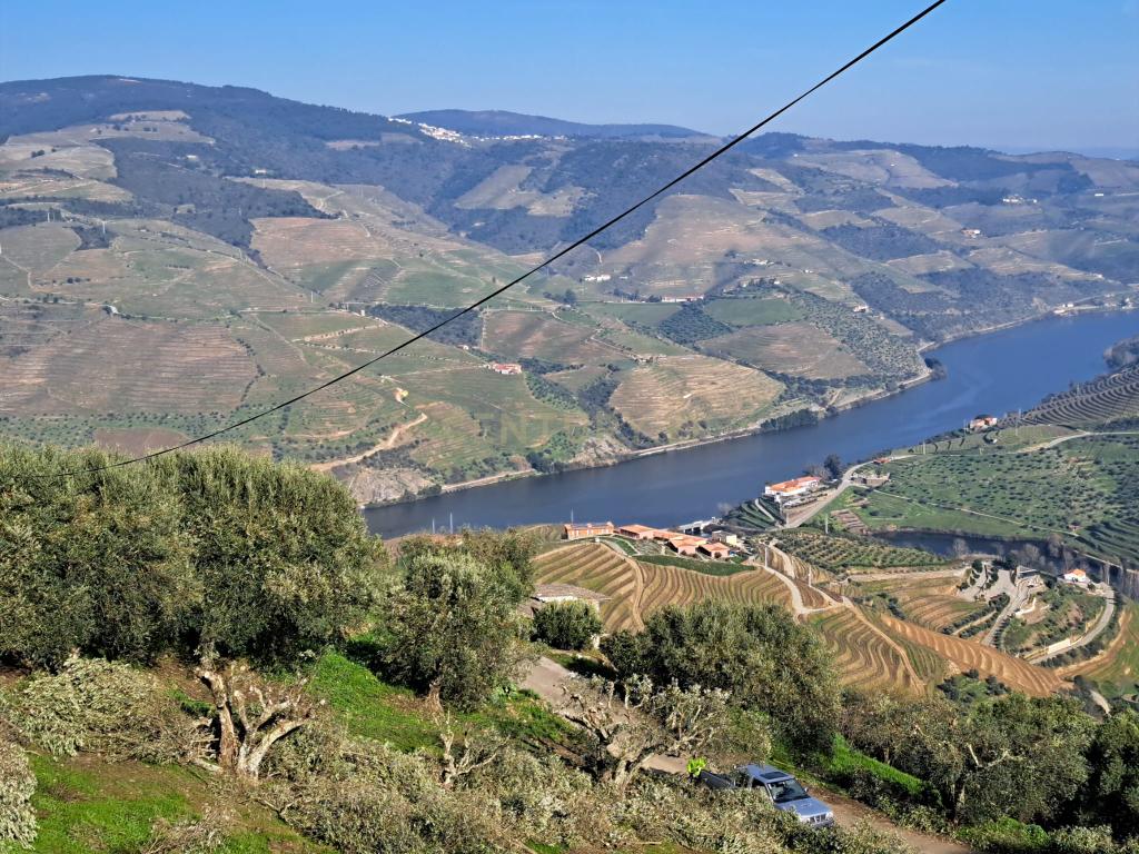 Quinta Fraga do Gato no Alto Douro Vinhateiro com cerca de 6000 m2 - Image 27