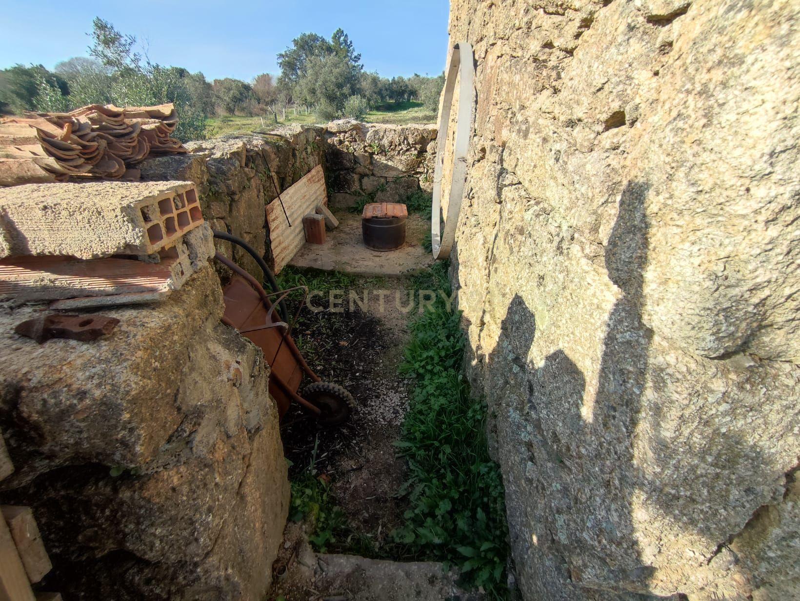 Fantástica Quintinha em Tinalhas, Castelo Branco - Image 32