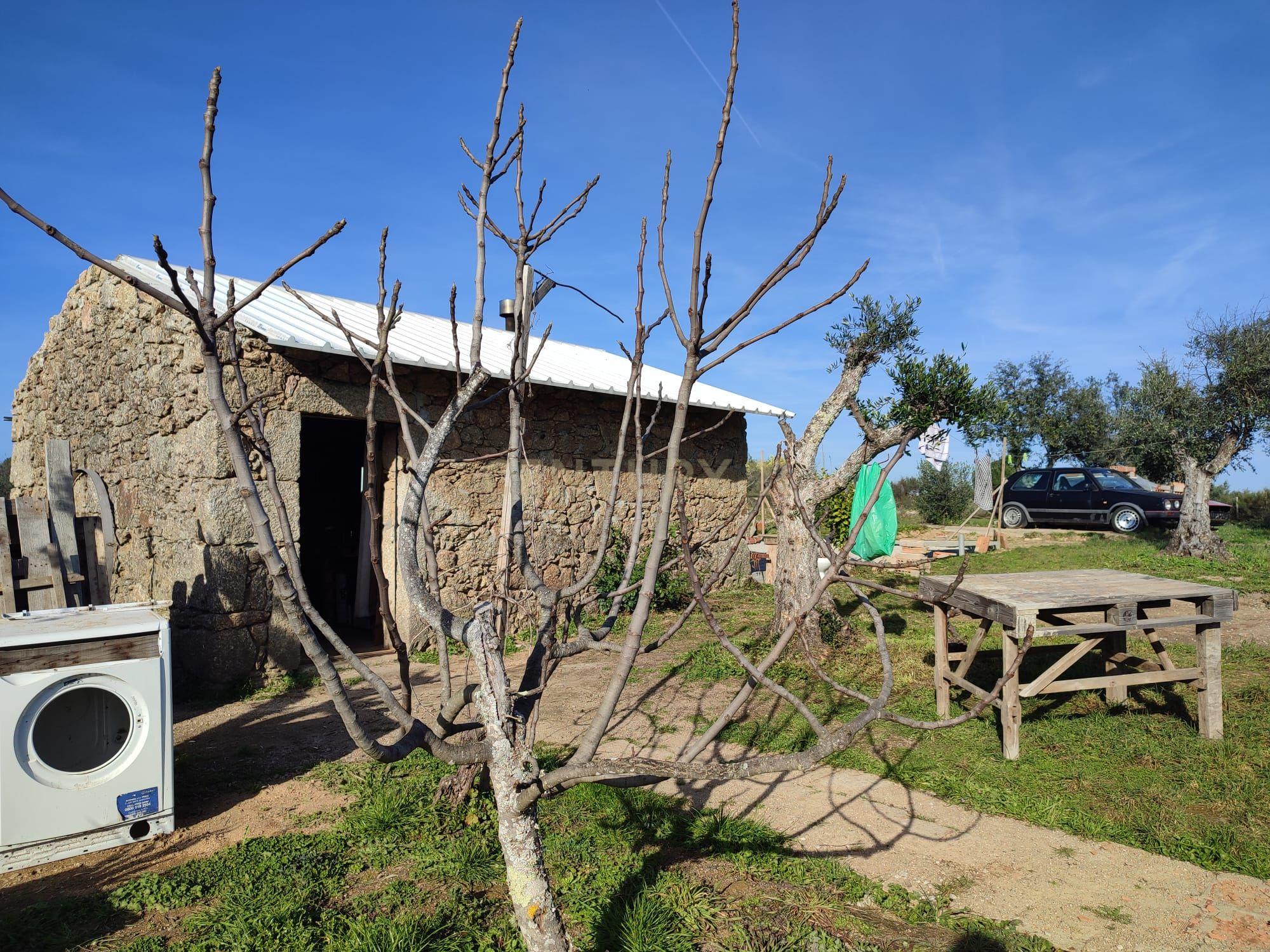 Fantástica Quintinha em Tinalhas, Castelo Branco - Image 23