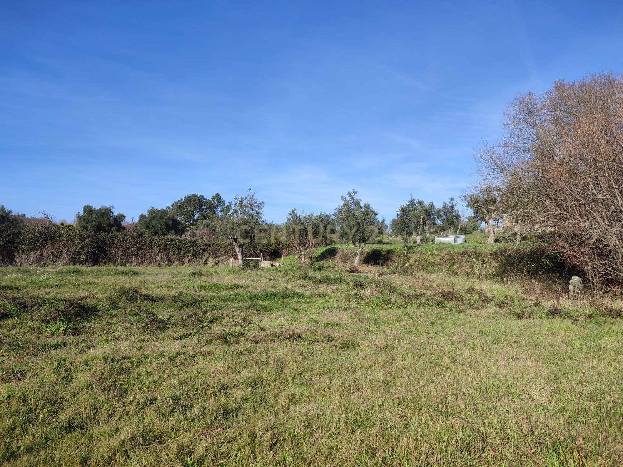 Fantástica Quintinha em Tinalhas, Castelo Branco - Image 6