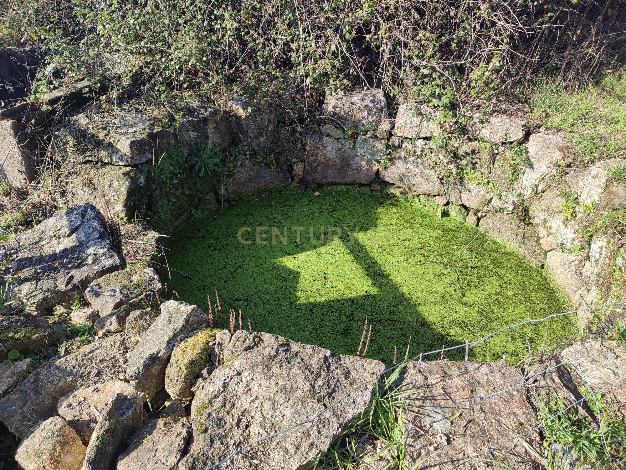 Fantástica Quintinha em Tinalhas, Castelo Branco - Image 24