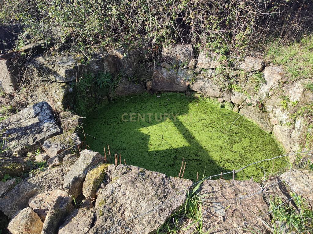Fantástica Quintinha em Tinalhas, Castelo Branco - Image 24