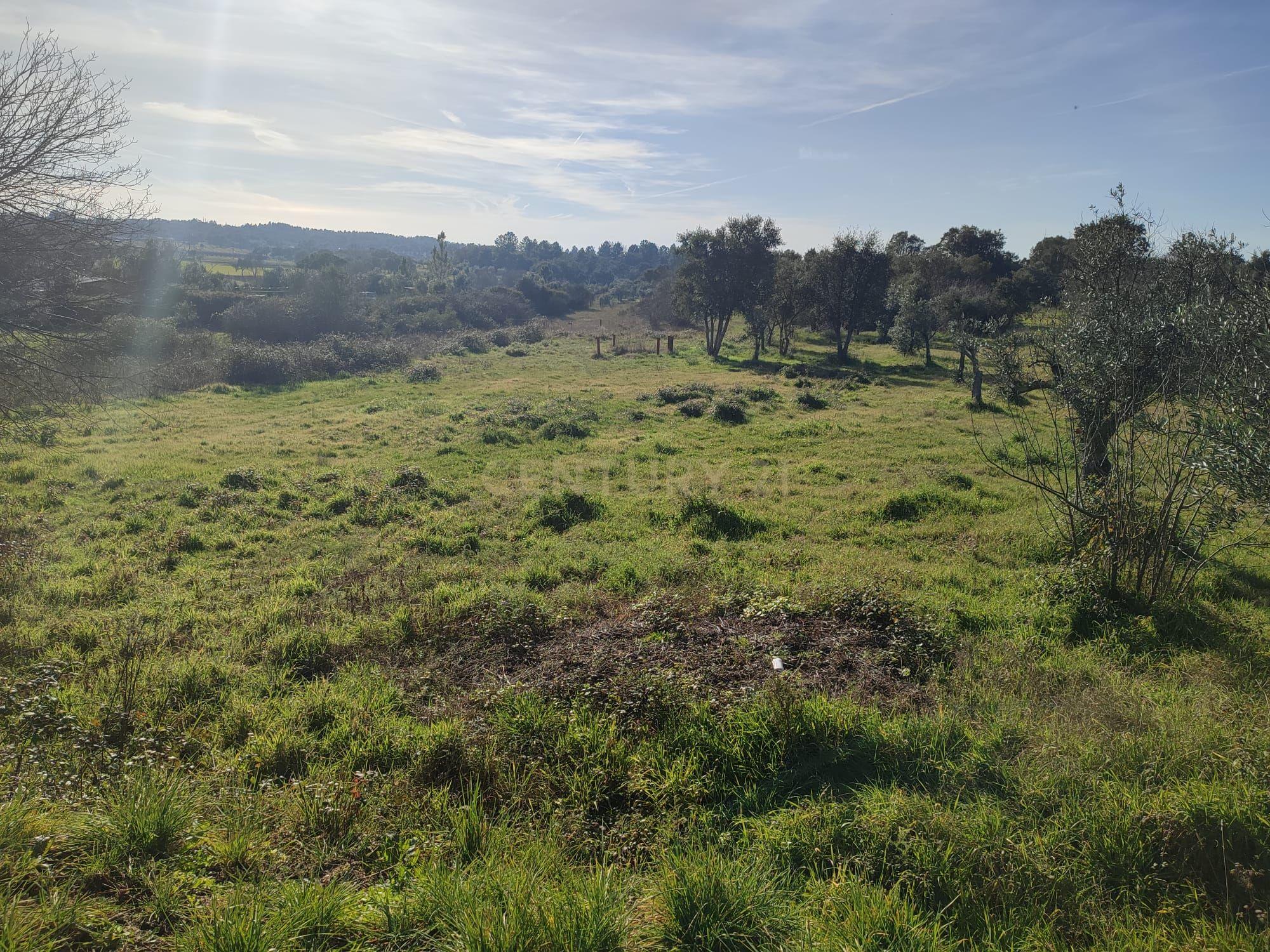 Fantástica Quintinha em Tinalhas, Castelo Branco - Image 18