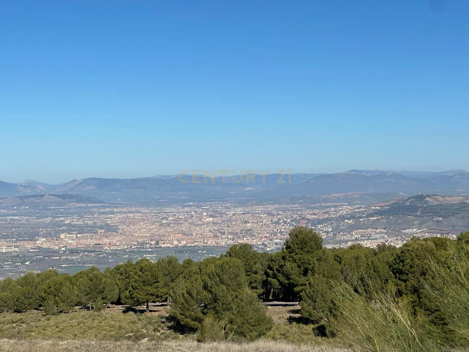 undefined - Image 7