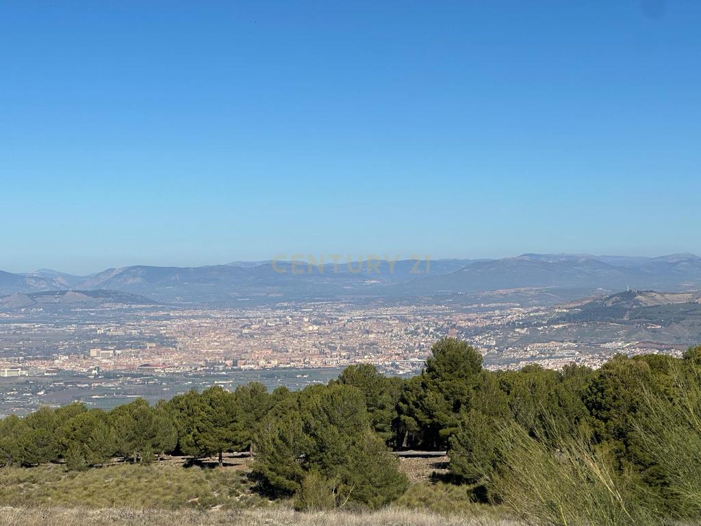undefined - Image 7