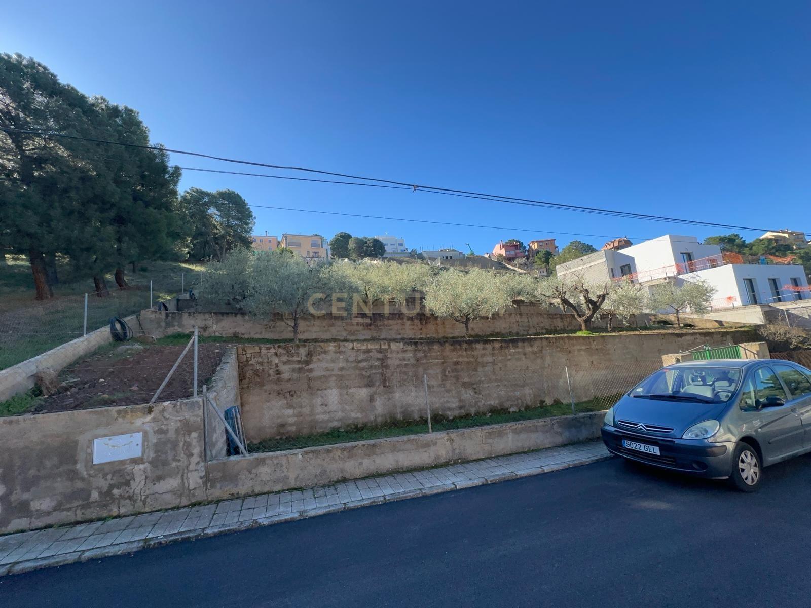 undefined - Image 5