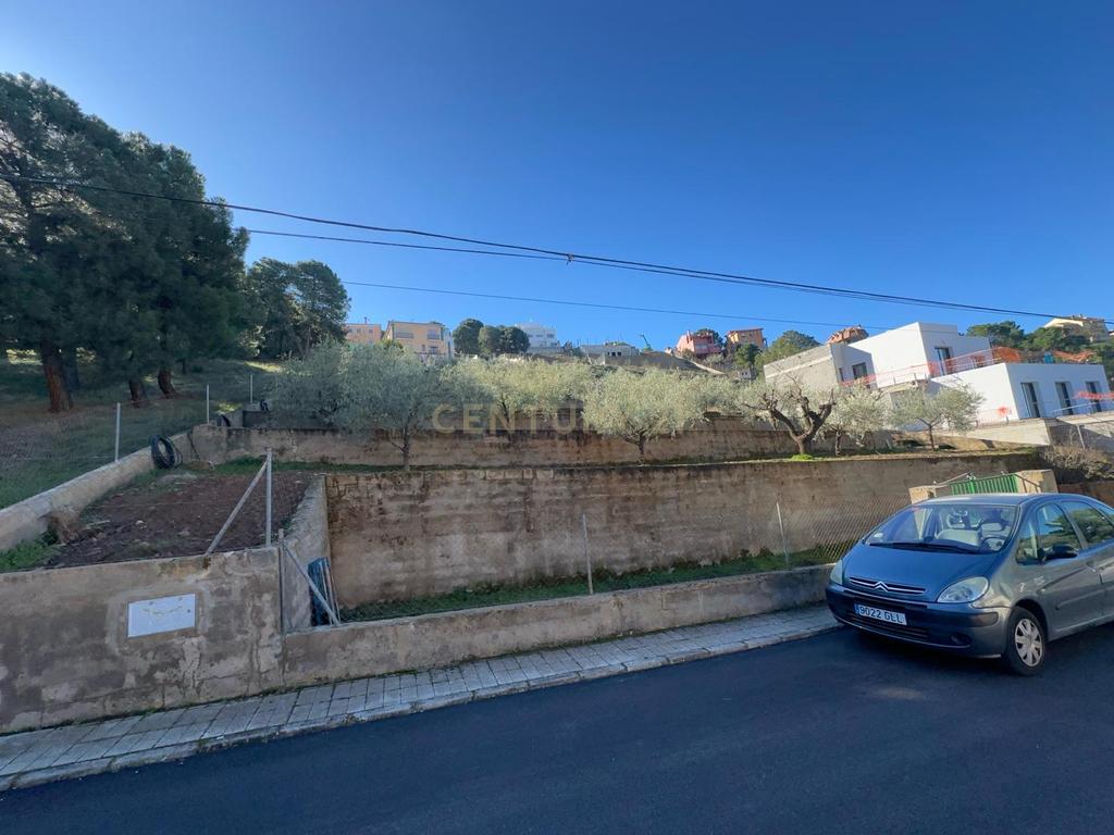 undefined - Image 5