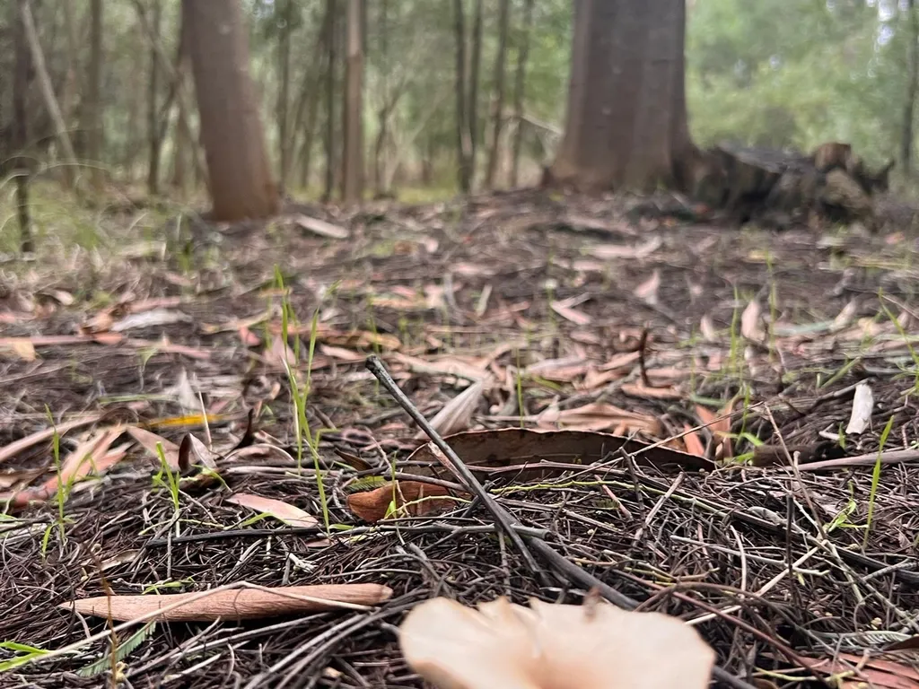 Terreno em Seixo, Mira - Oportunidade Única - Image 18
