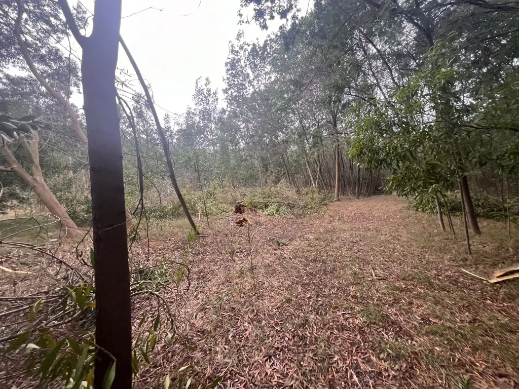 Terreno em Seixo, Mira - Oportunidade Única - Image 21
